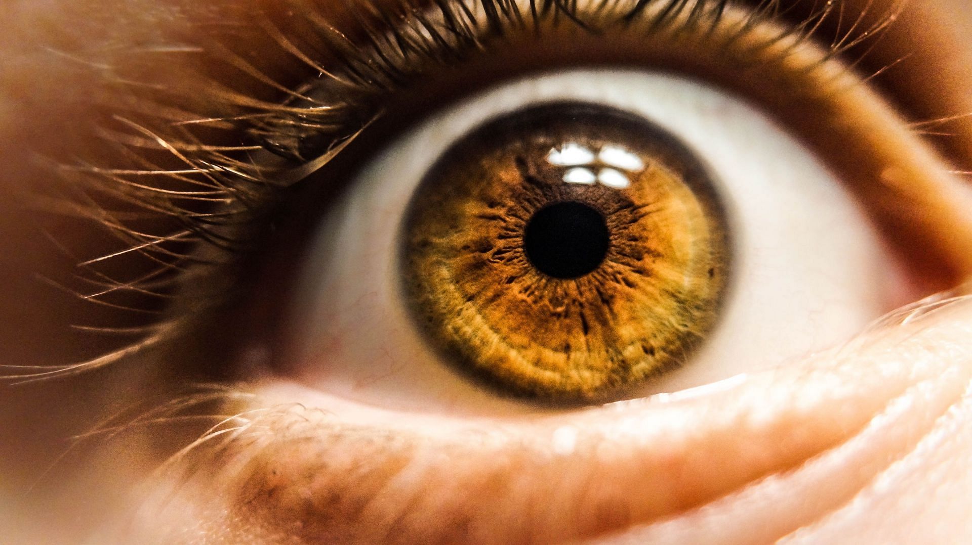 Red light therapy for the eyes (Image via Unsplash/Kalea)